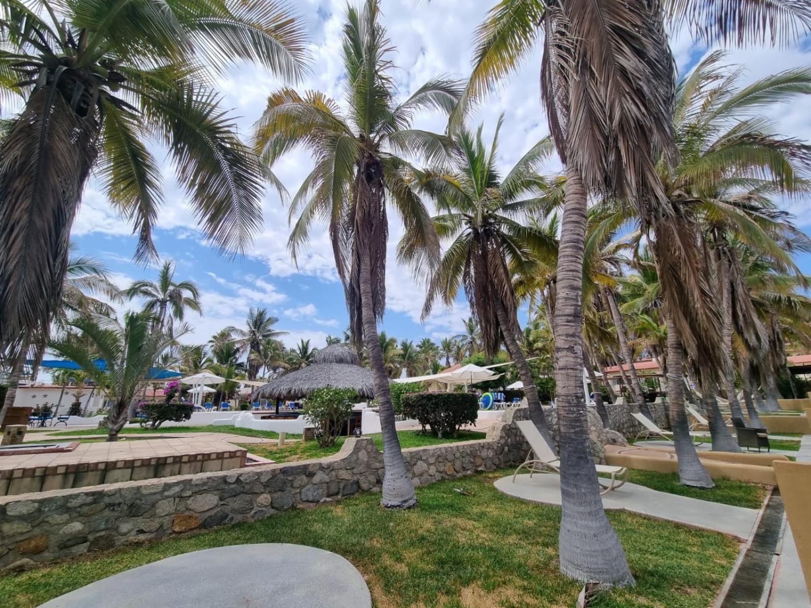 Buena Vista Oceanfront & Hot Springs Resort 雪松山 外观 照片